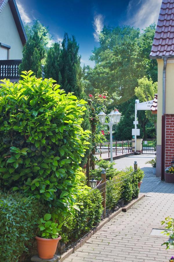 Pension Luisenhof Tangermuende Exterior photo